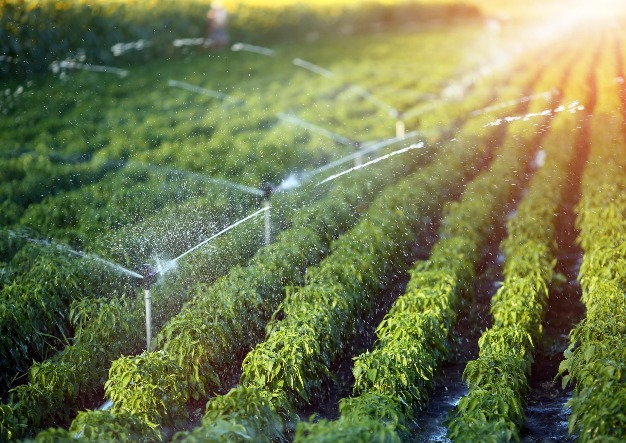 Field with Sprinklers
